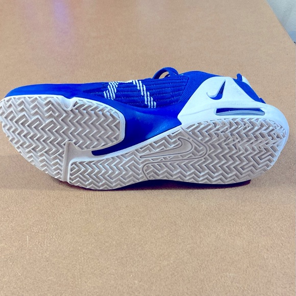 NIKE LEBRON WITNESS VI TB - Picture 4 of 5